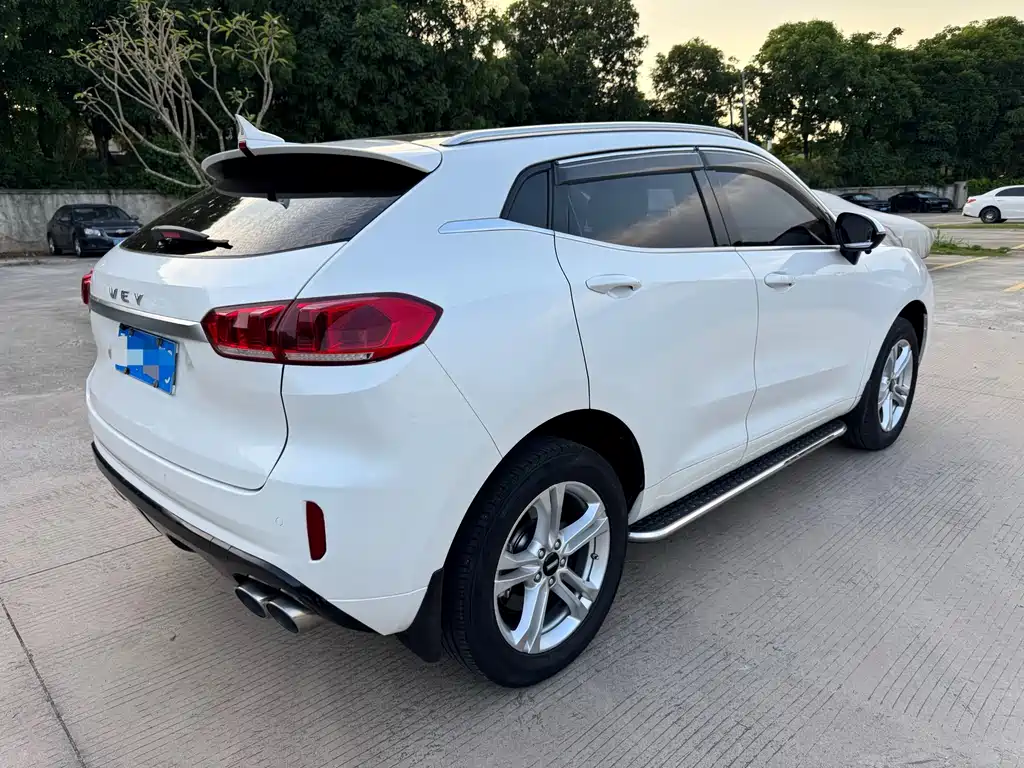 Wey VV5 1.5T 2WD Beauty Pioneer, фото 7