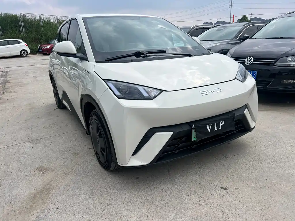 Byd Seagull 2024
