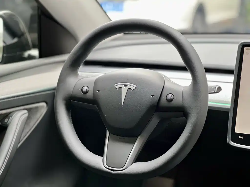 Tesla Model Y — миниатюра 12