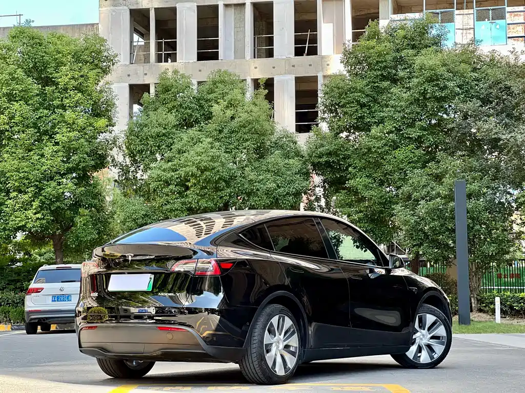 Tesla Model Y — миниатюра 19