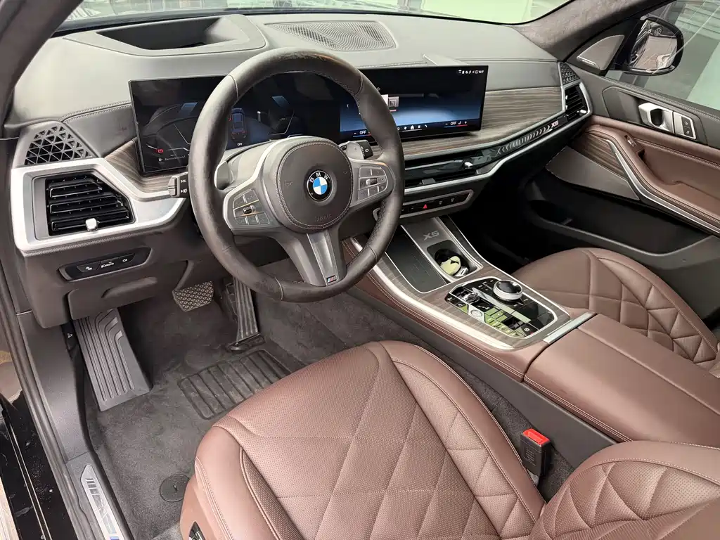 BMW X5 — миниатюра 8