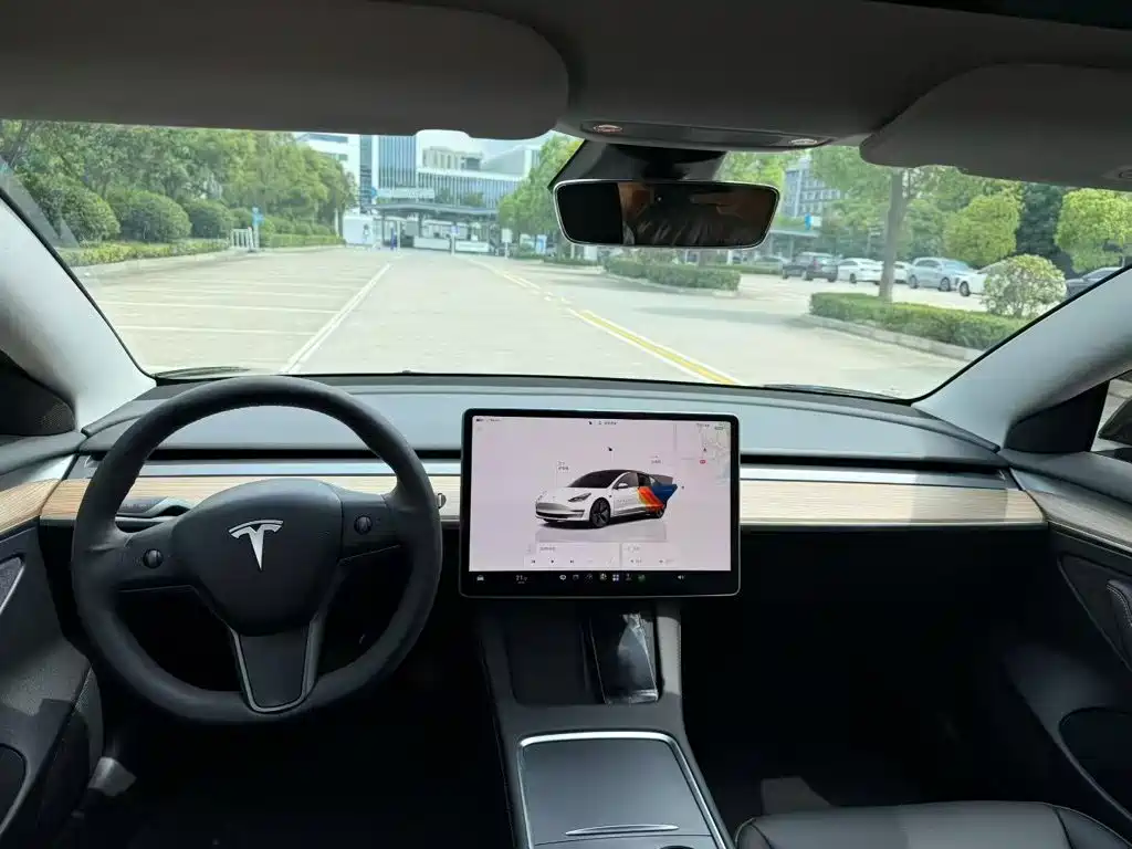 Tesla Model 3 — миниатюра 3