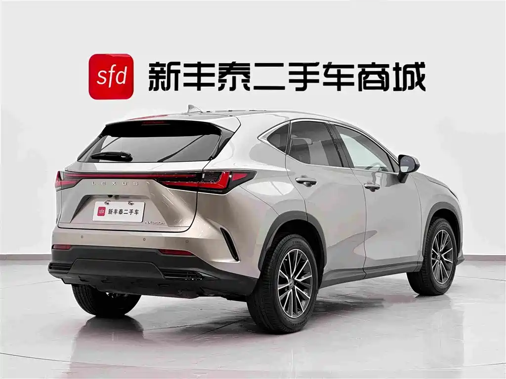 Lexus NX — миниатюра 5