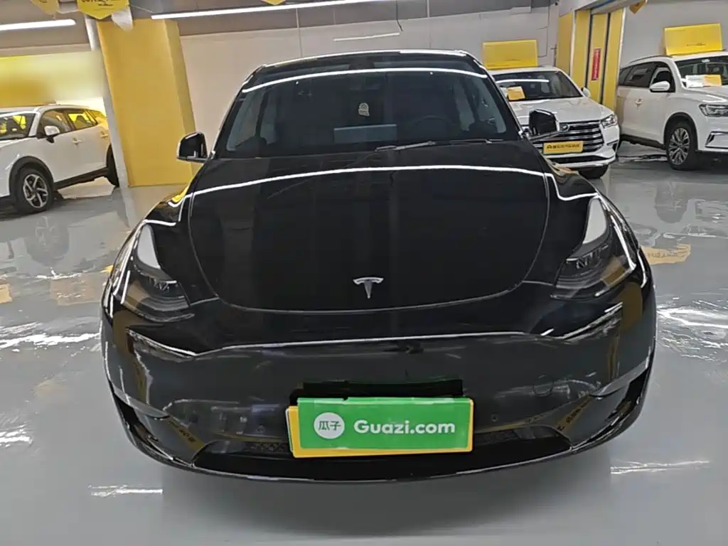 Tesla Model Y — миниатюра 3