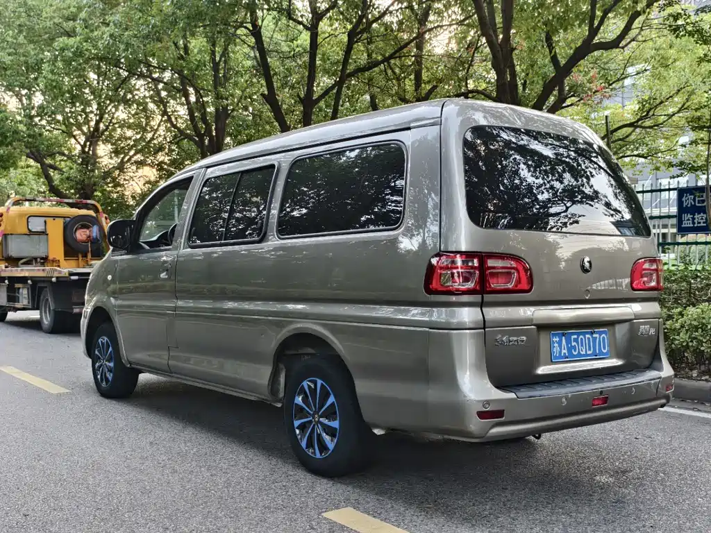 Fengxing Lingzhi — миниатюра 7