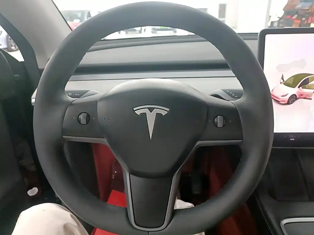 Tesla Model Y — миниатюра 11