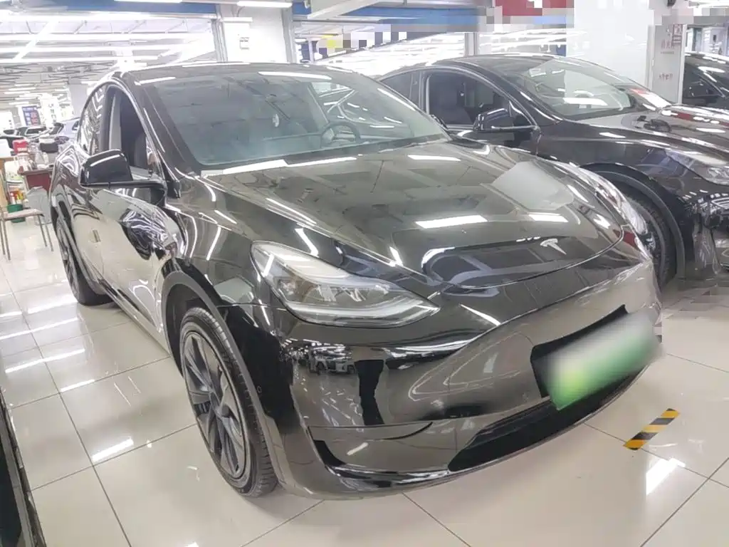 Tesla Model Y — миниатюра 4