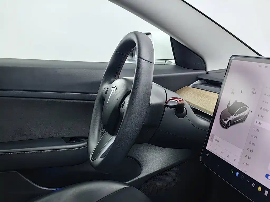 Tesla Model 3 — миниатюра 22