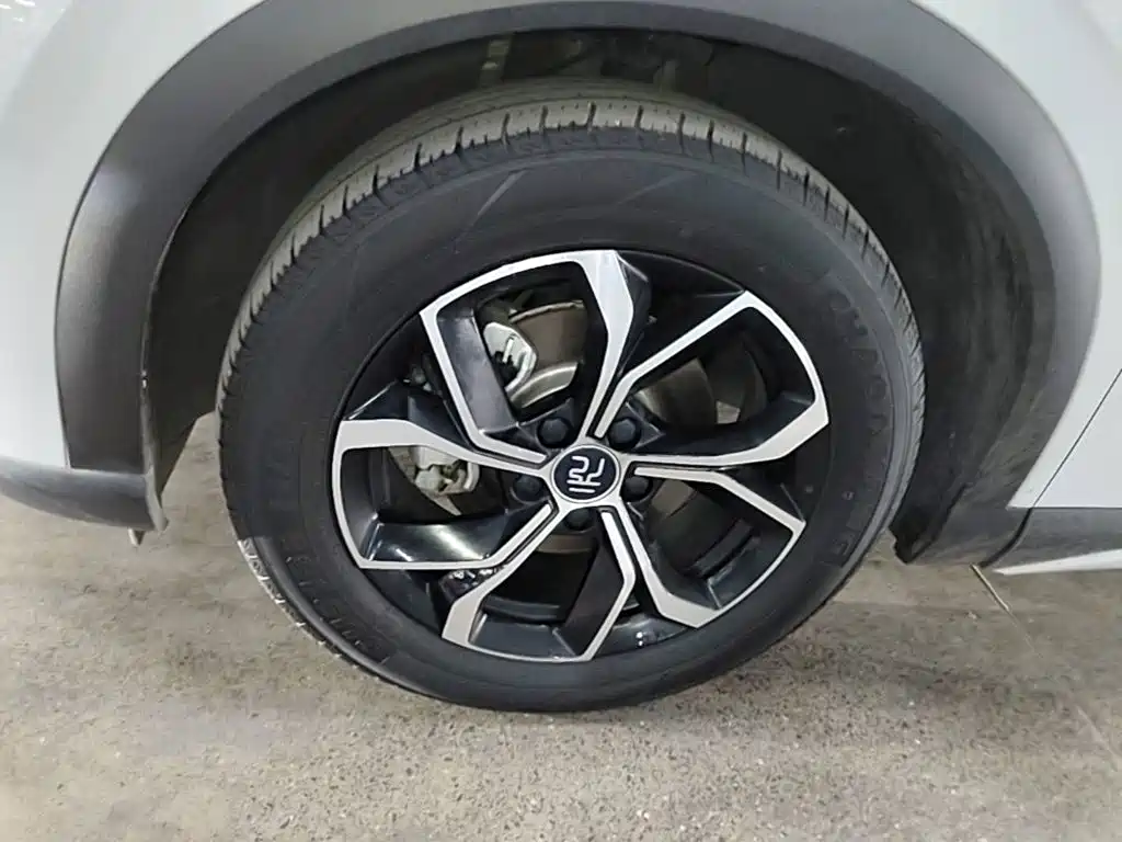 BYD Yuan Plus — миниатюра 23