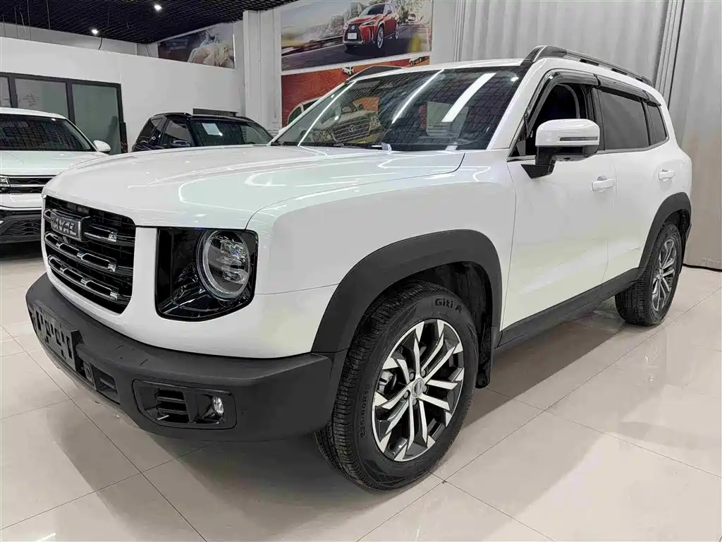 Haval Big Dog 2021