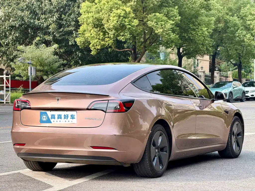 Tesla Model 3 — миниатюра 4