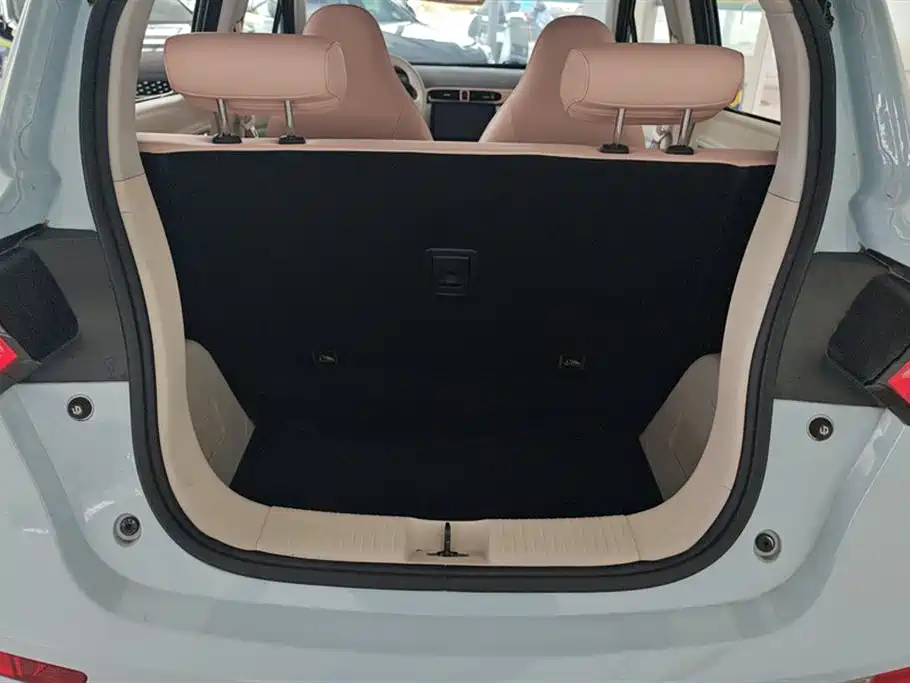 Leapmotor T03 2023 310