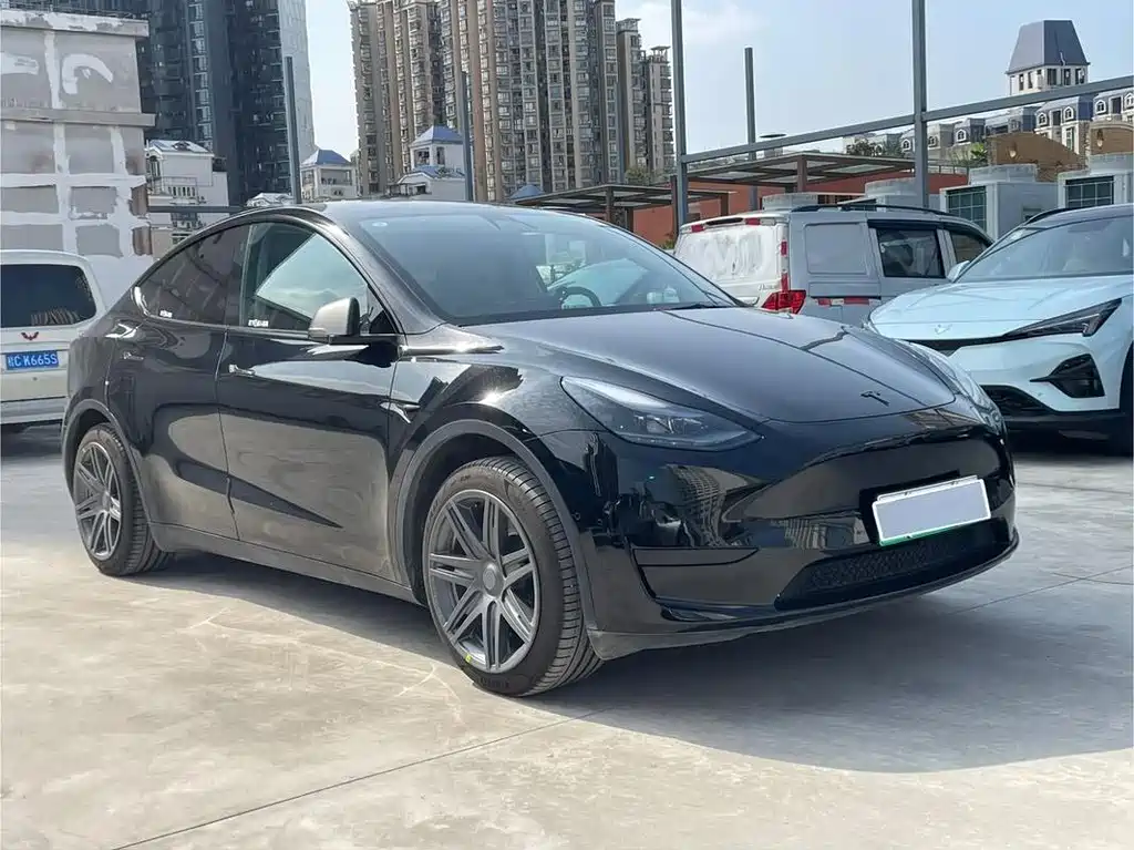 Tesla Model Y — миниатюра 3