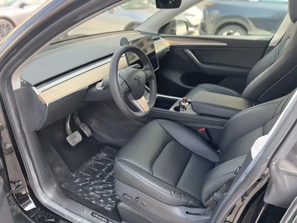 Tesla Model Y — миниатюра 4