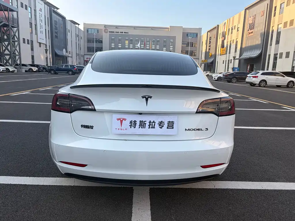 Tesla Model 3 — миниатюра 5