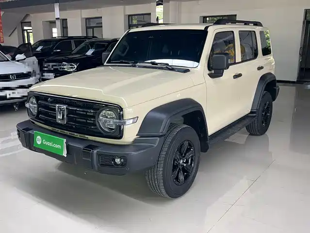 2025 TANK 300