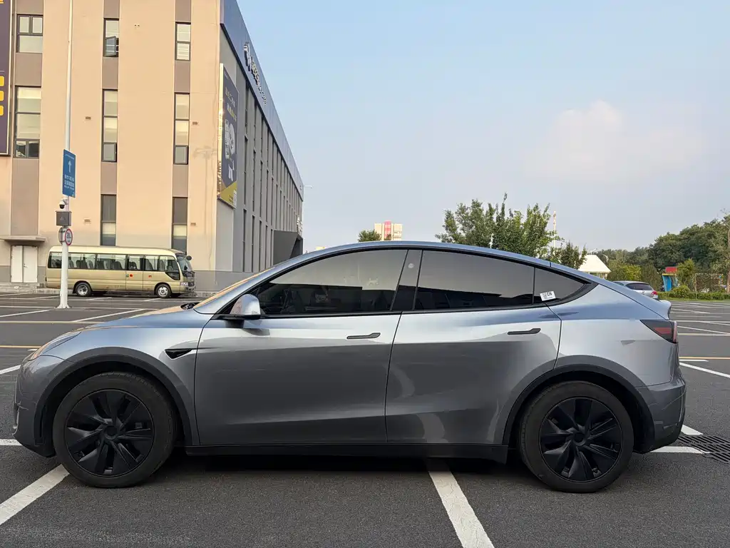Tesla Model Y — миниатюра 3