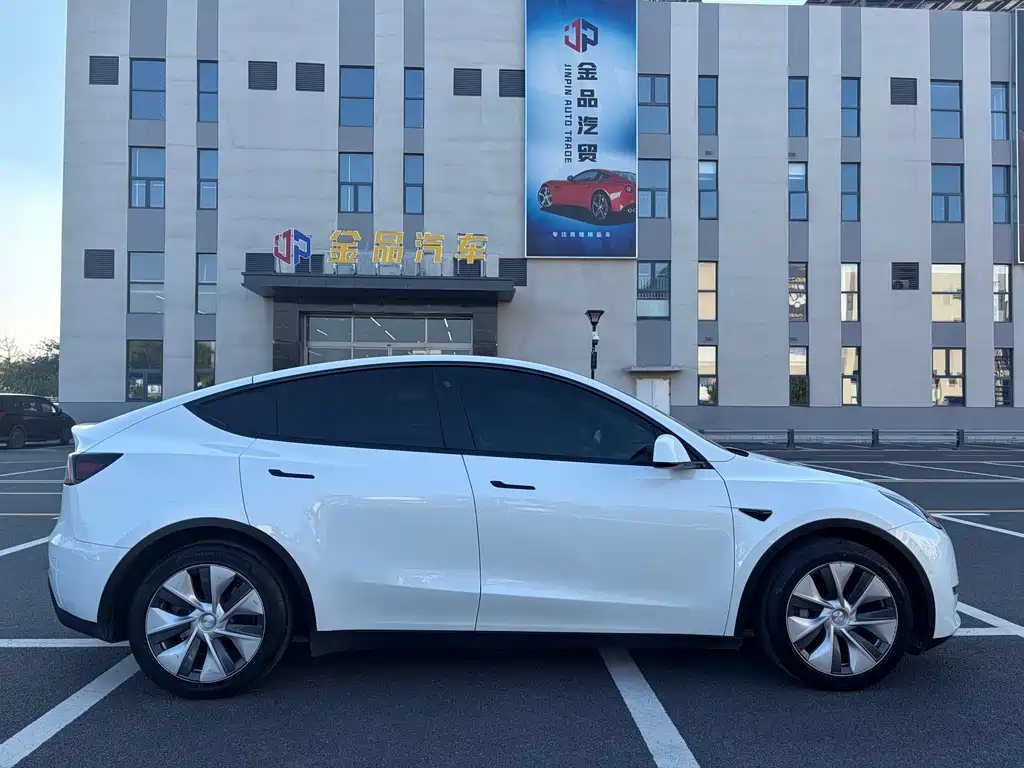 Tesla Model Y — миниатюра 7