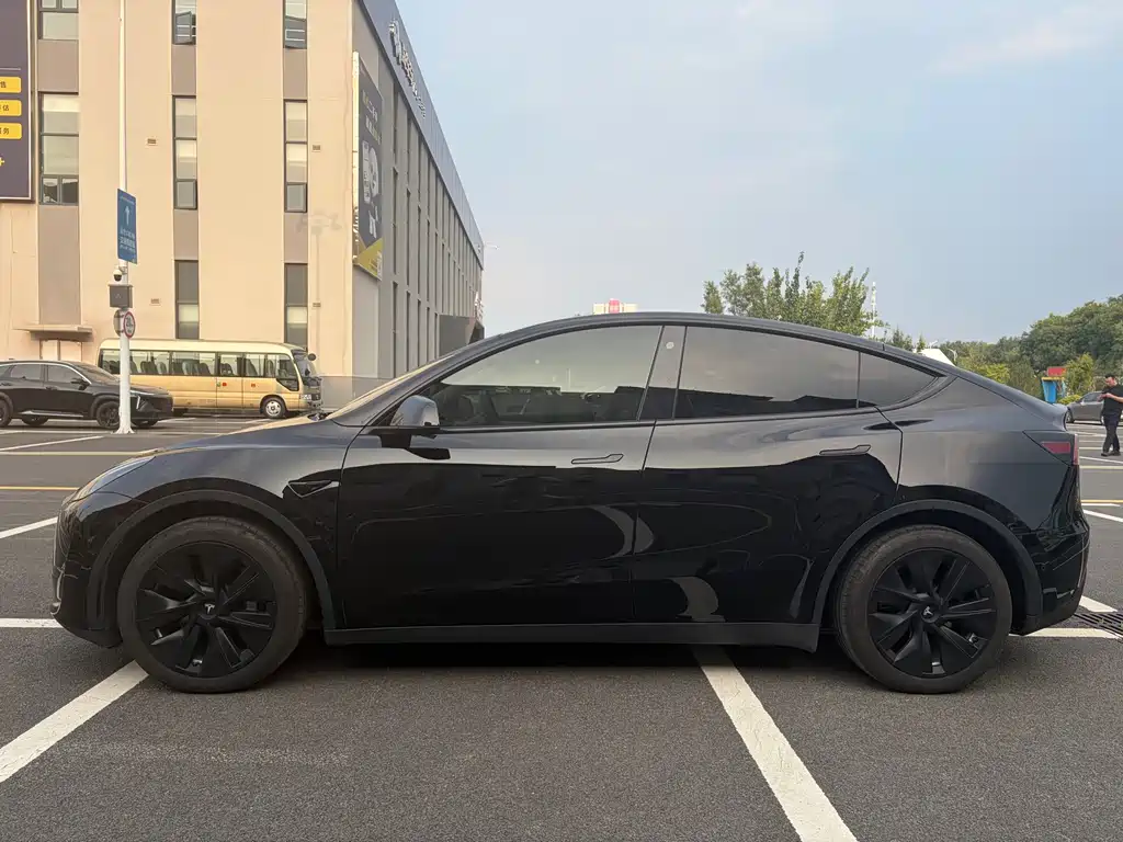 Tesla Model Y — миниатюра 3