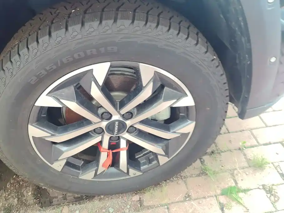 Haval Big Dog PLUS — миниатюра 6