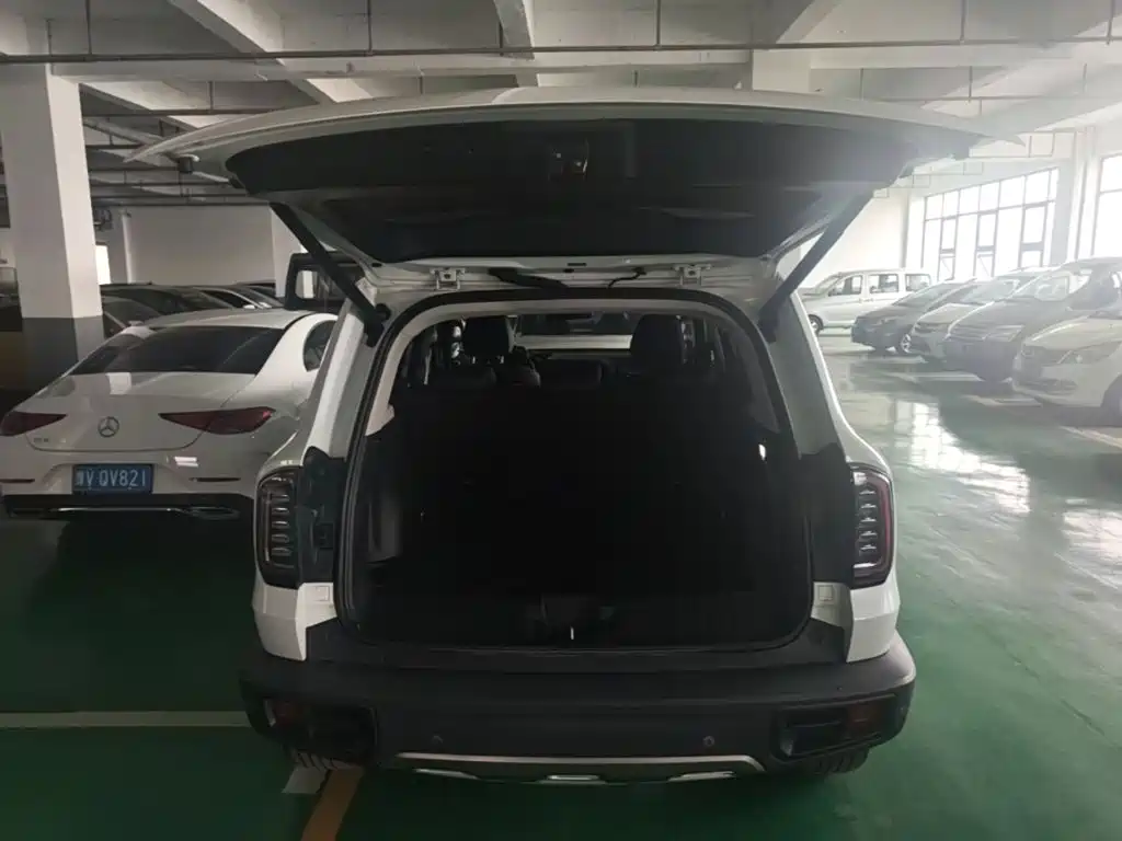 Haval Big Dog — миниатюра 22