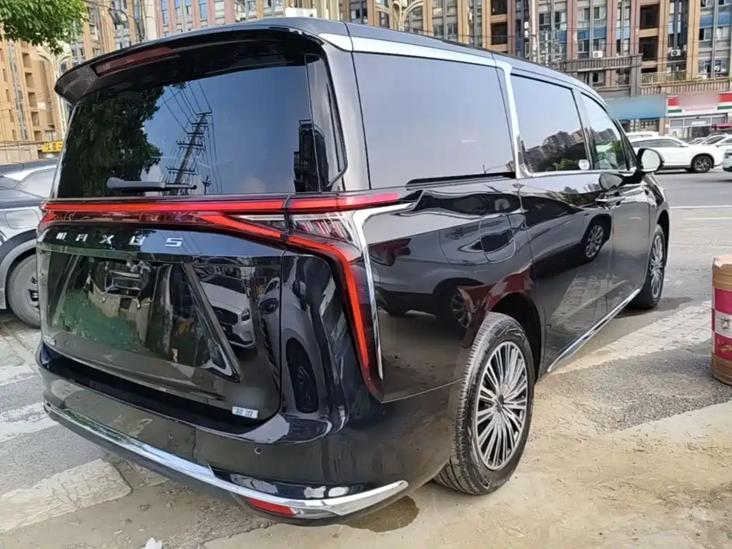Maxus Dajia 9 — миниатюра 7