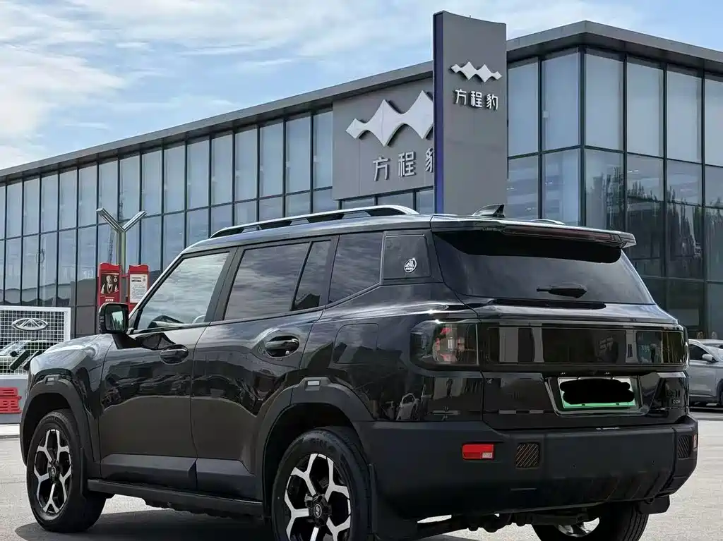 Shanhai Shanhai T1 — миниатюра 7