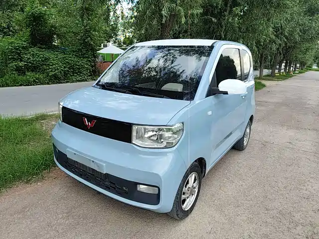 2020 Wuling Motors Hongguang Mini EV