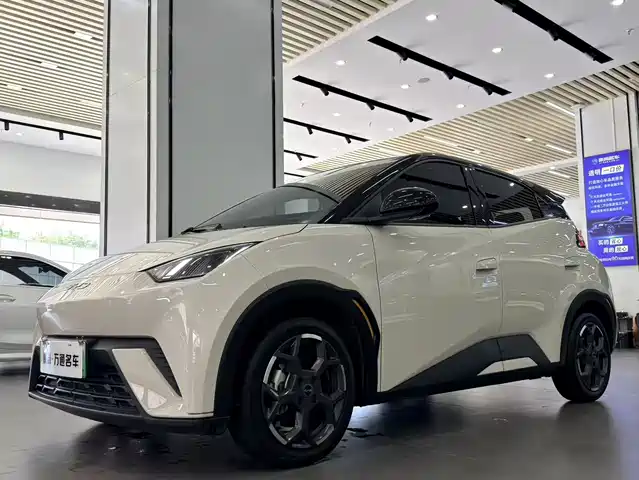 2024 BYD Seagull