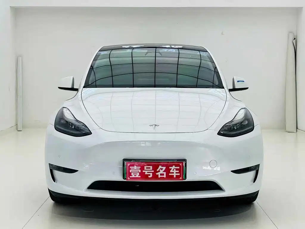 Tesla Model Y — миниатюра 2