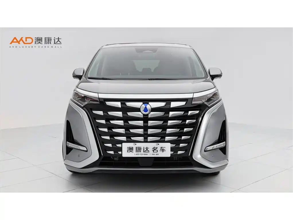 Denza Denza D9 — миниатюра 2