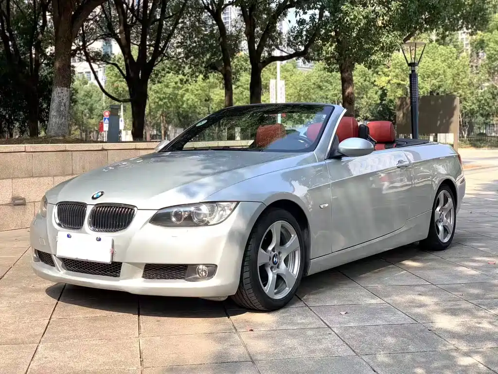 BMW 3 Series (Import) 2010