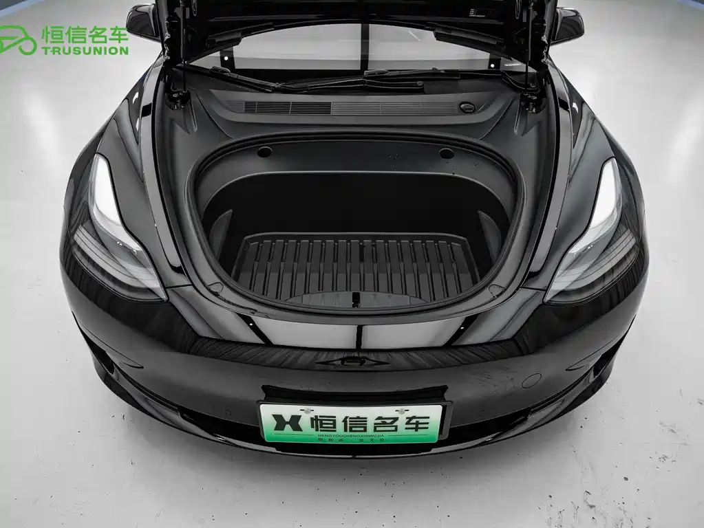 Tesla Model 3 2021 3D6