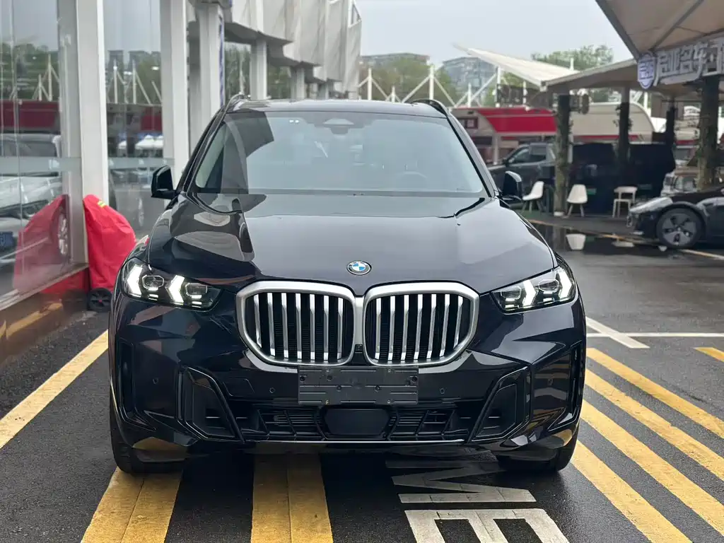 BMW X5 — миниатюра 2
