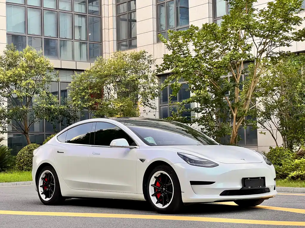 Tesla Model 3 — миниатюра 3
