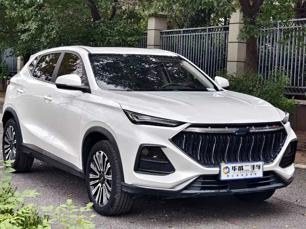 CHANGAN CHANGAN AUCHAN X5