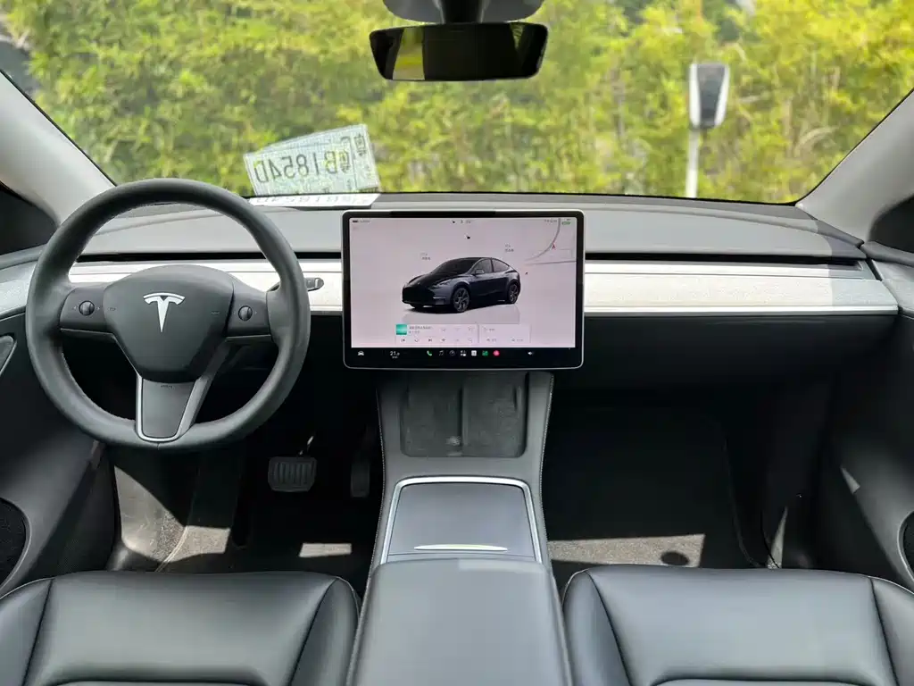 Tesla Model Y — миниатюра 14