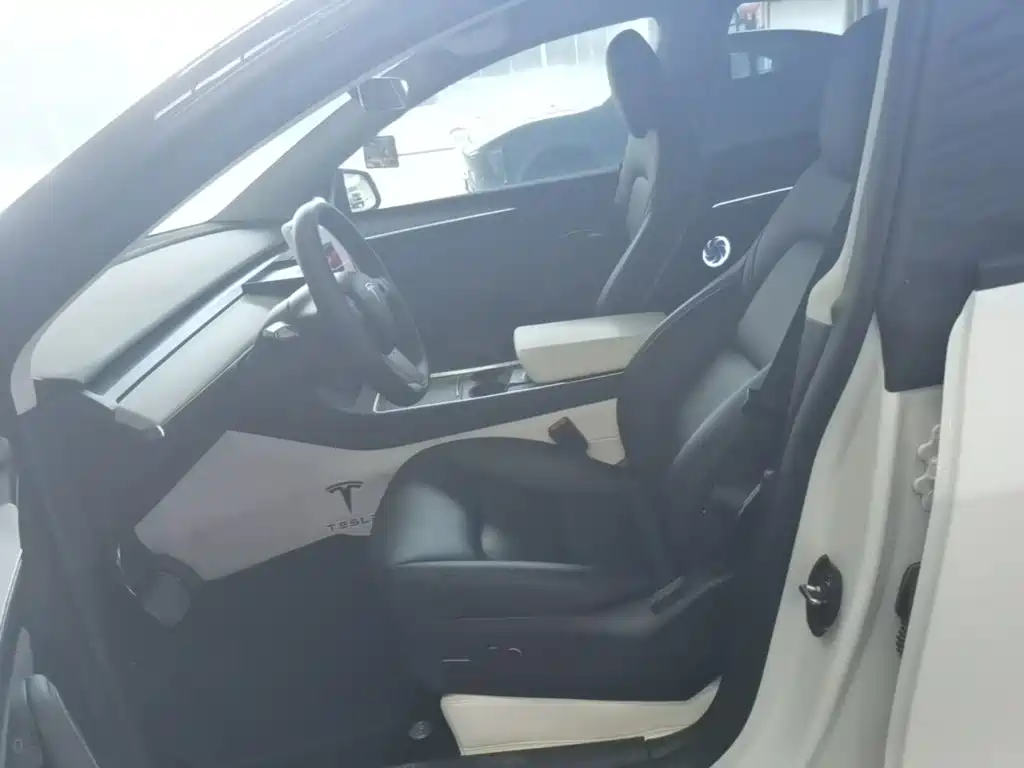 Tesla Model Y — миниатюра 15