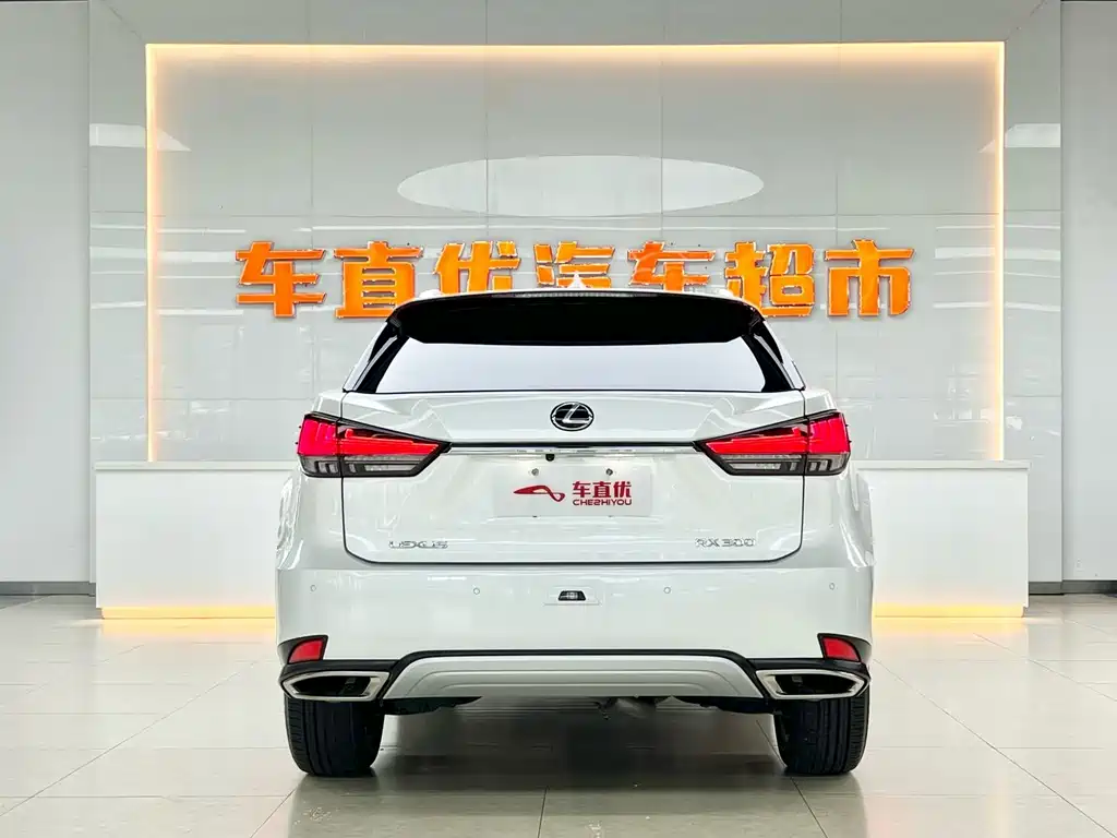 Lexus RX 2020 300 Elegant VI