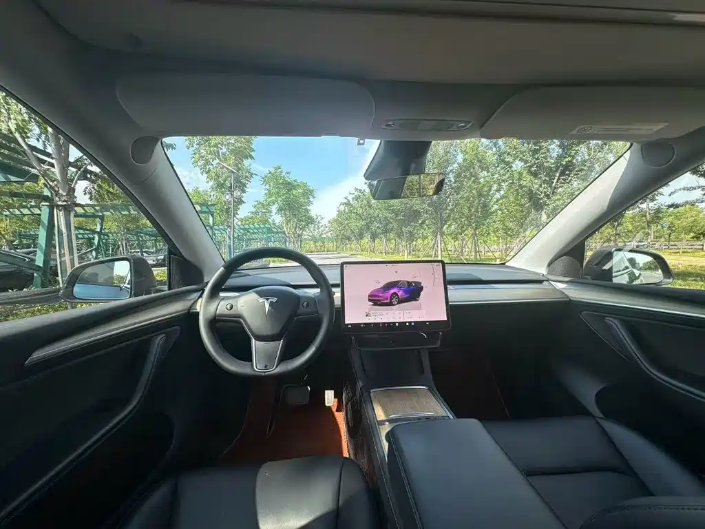 Tesla Model Y — миниатюра 13