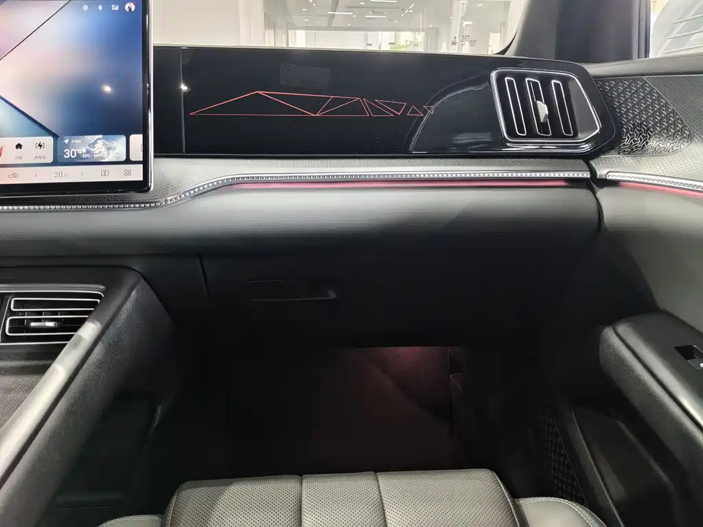 BYD Pro New Energy — миниатюра 13