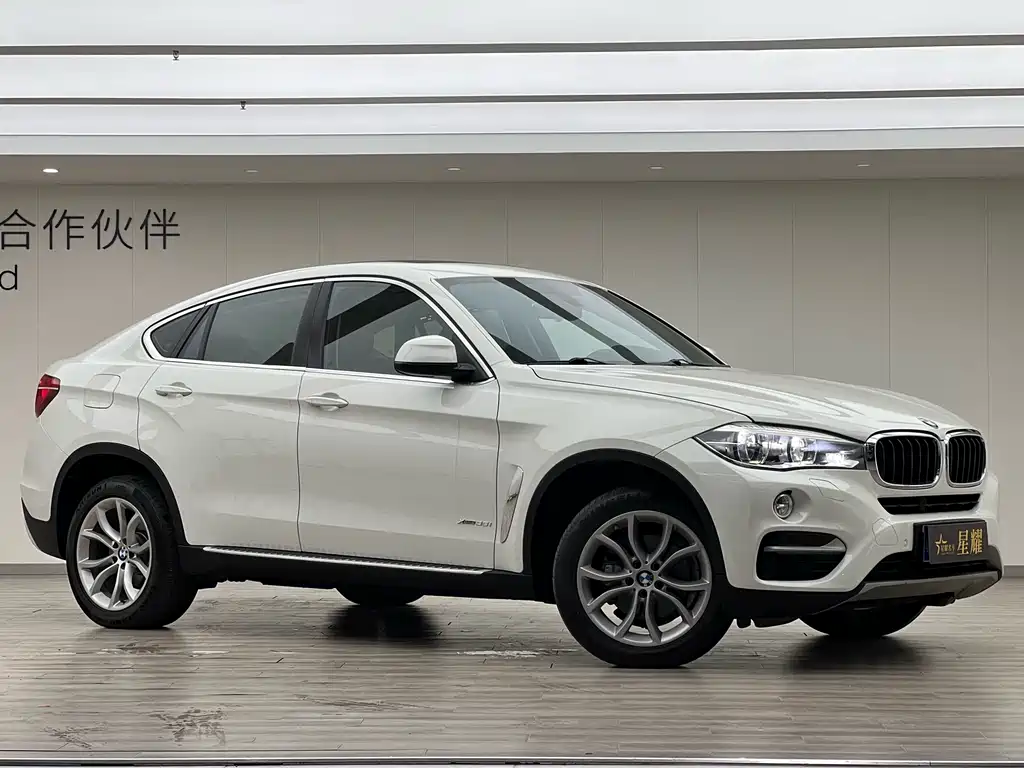 BMW X6 2015 xDrive35i Lead