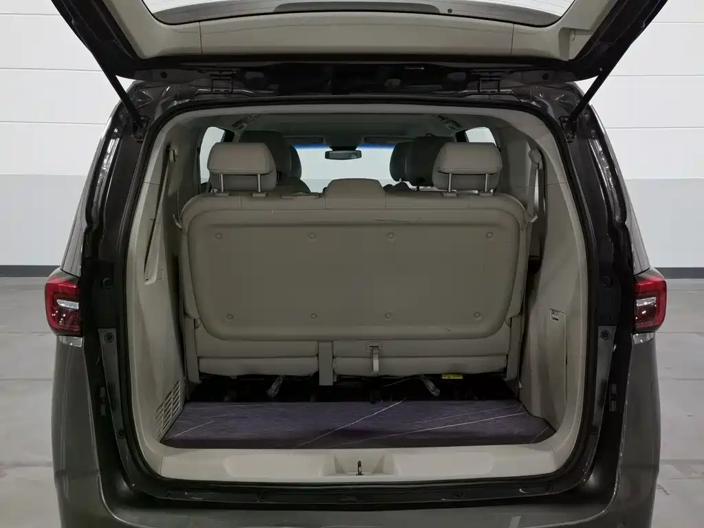 Buick GL8 — миниатюра 16