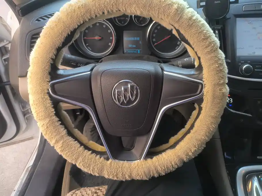 Buick Regal — миниатюра 15