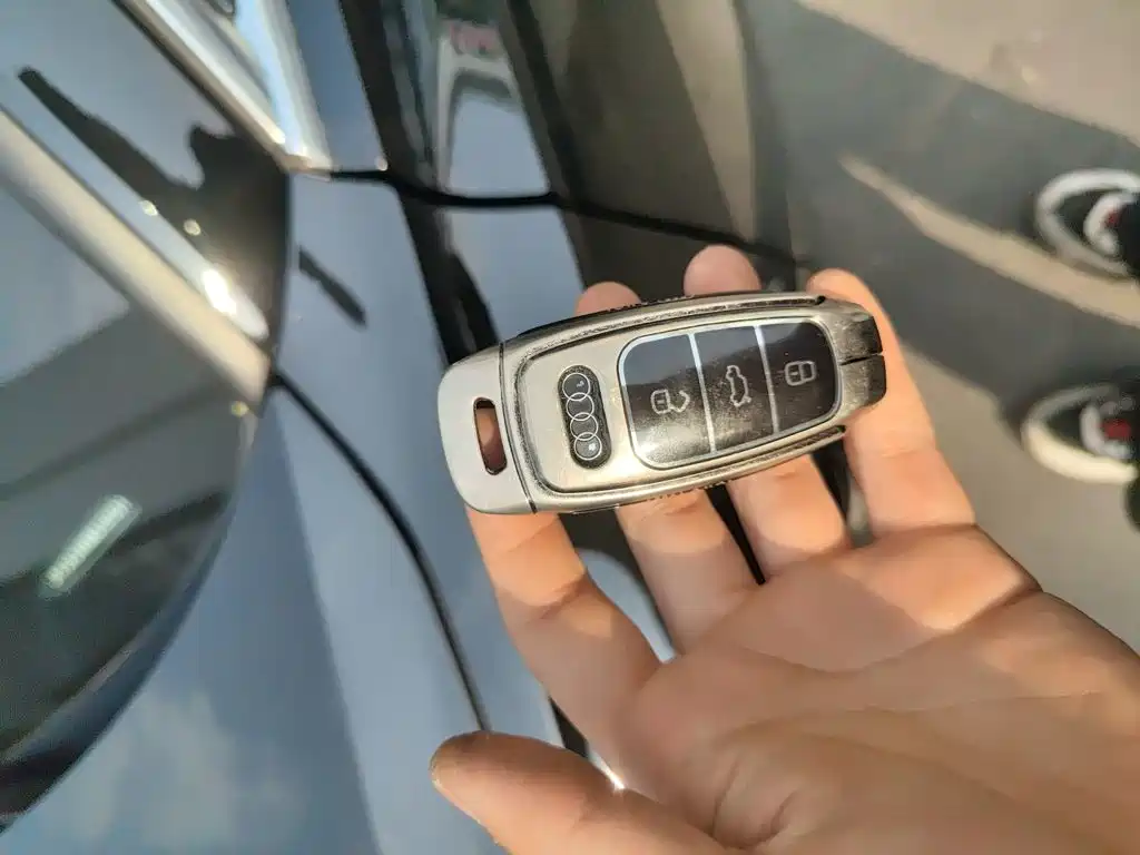 Audi A6L — миниатюра 11