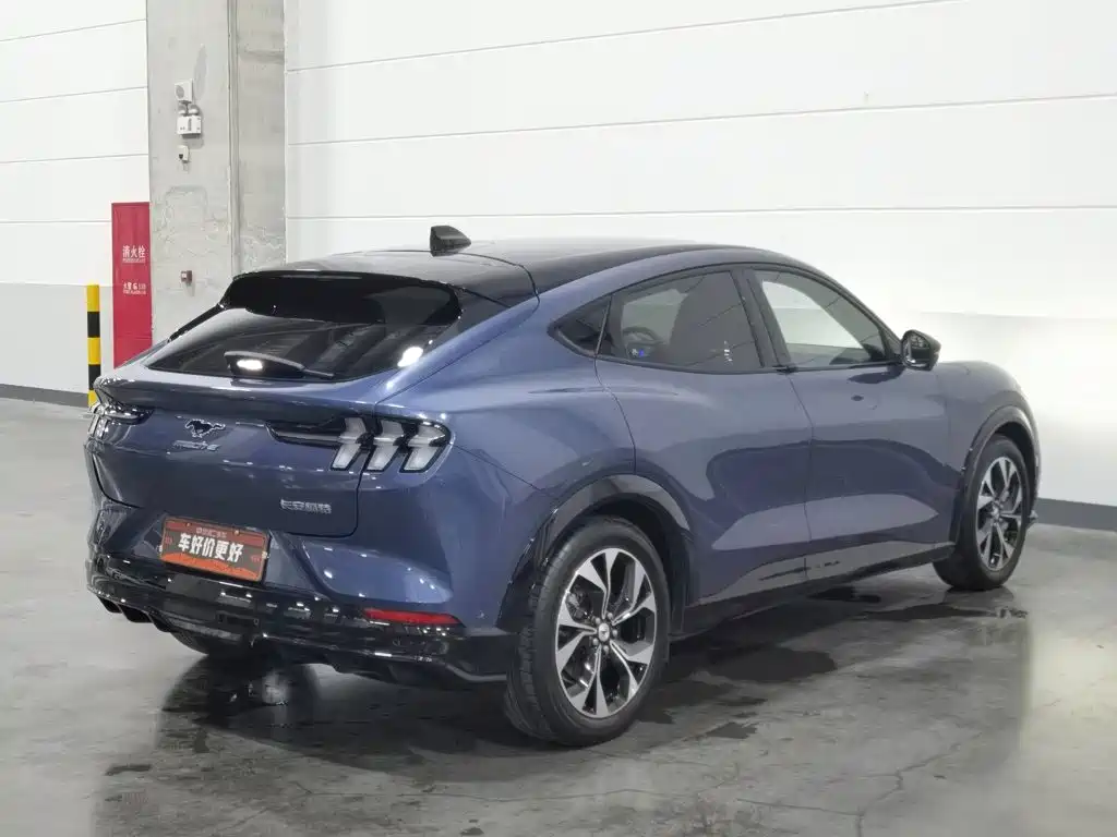 Ford Mustang Mach-E — миниатюра 2