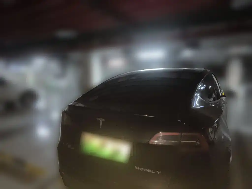 Tesla Model Y — миниатюра 3