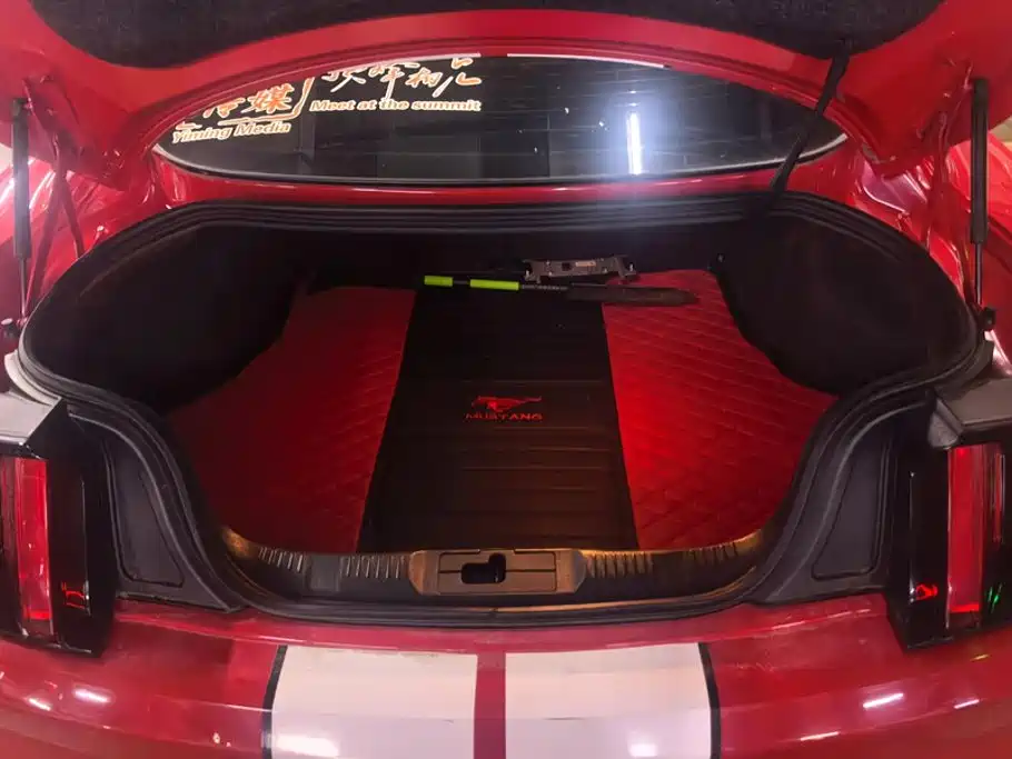 Ford Mustang — миниатюра 4