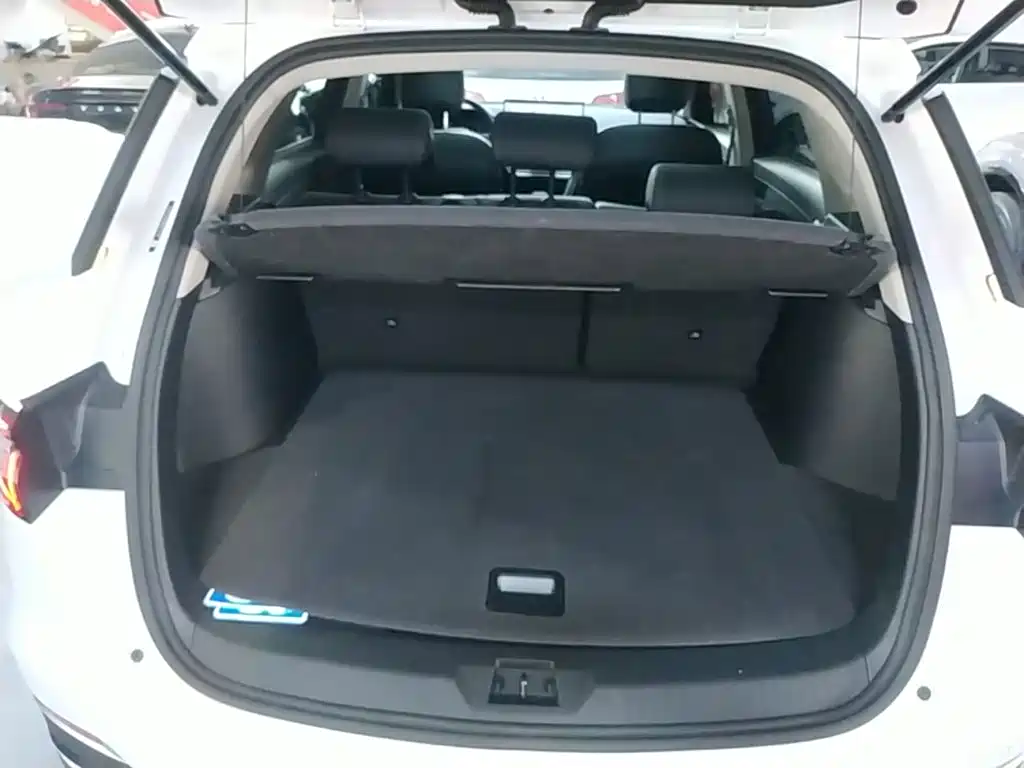 BYD Pro — миниатюра 19