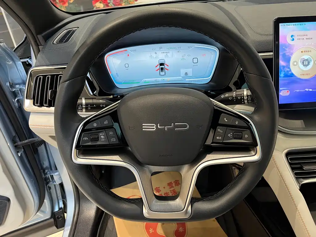 BYD SONGJIANG NEW ENERGY